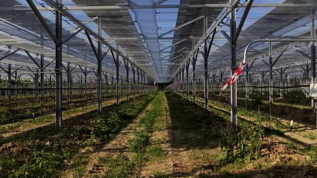 Aerial view of greenhouse with protective netting in Faenza Italy.