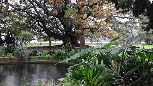 View of Royal Botanic Garden Sydney Australia.