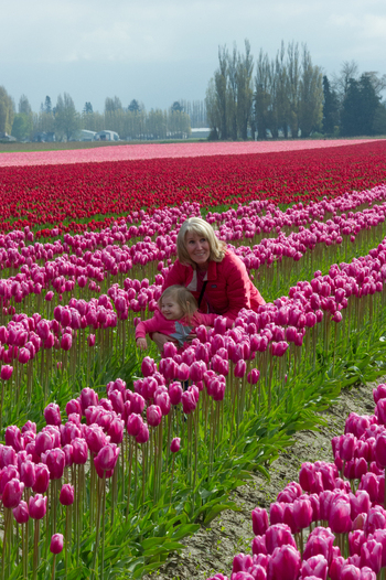 View of a woman and a young child sitting among vibrant pink and red tulip rows in a vast flower field in La Conner Washington United States.