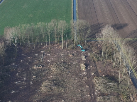 Aerial view of an excavator clearing trees in a wooded area surrounded by agricultural fields in the Netherlands. Aerial view of an excavator clearing trees in a wooded area surrounded by agricultural fields in the Netherlands.