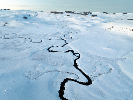 Aerial view of a dark river snakes through a bright snow covered landscape contrasting sharply against the white expanse Nasbinals Occitanie France.