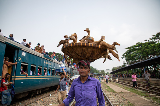 Dhaka Bangladesh 14 June 2018 View of a man carrying a basket of ducks on his head at the Airport Railway Station with a crowded passenger train in the background. Dhaka Bangladesh 14 June 2018 View of a man carrying a basket of ducks on his head at the Airport Railway Station with a crowded passenger train in the background.