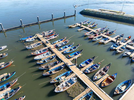 Aerial view of vibrant boats nestled snugly in the marina of Porta de Abrigo da Torreira the tranquil waters reflecting the azure sky Porta de Abrigo da Torreira Aveiro Portugal. Aerial view of vibrant boats nestled snugly in the marina of Porta de Abrigo da Torreira the tranquil waters reflecting the azure sky Porta de Abrigo da Torreira Aveiro Portugal.