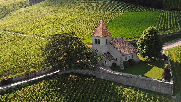 Aerial view of the historic church of Luins surrounded by lush green vineyards and rolling hills under warm sunlight Luins Vaud Switzerland. Aerial view of the historic church of Luins surrounded by lush green vineyards and rolling hills under warm sunlight Luins Vaud Switzerland.