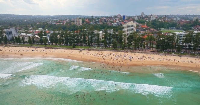 Aerial view of Manly Beach with people swimming in the turquoise ocean sunbathers on the sand and pine trees bordering the urban coastal landscape in Sydney New South Wales Australia. Aerial view of Manly Beach with people swimming in the turquoise ocean sunbathers on the sand and pine trees bordering the urban coastal landscape in Sydney New South Wales Australia.