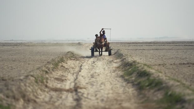 View of a horse drawn cart on a dusty road in Sirajganj Bangladesh. View of a horse drawn cart on a dusty road in Sirajganj Bangladesh.