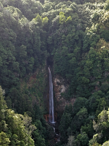 Aerial view of Cascata da Ribeira Quente cascading down a steep rocky cliff surrounded by dense lush green forest and tropical vegetation Ribeira Quente Azores Portugal. Aerial view of Cascata da Ribeira Quente cascading down a steep rocky cliff surrounded by dense lush green forest and tropical vegetation Ribeira Quente Azores Portugal.