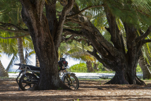 View of a motorcycle parked under the shade of large coastal trees with tropical palm trees in the background at Tiwi Beach in Tiwi Wilaya ya Kwale Kenya. View of a motorcycle parked under the shade of large coastal trees with tropical palm trees in the background at Tiwi Beach in Tiwi Wilaya ya Kwale Kenya.