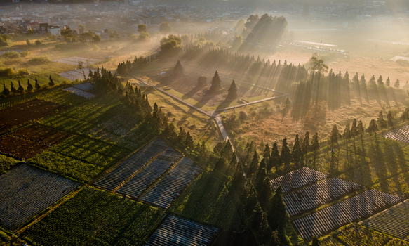 Aerial view of Dieng Plateau with ancient temples surrounded by terraced fields and pine trees illuminated by golden morning sun rays in Kecamatan Batur Jawa Tengah Indonesia. Aerial view of Dieng Plateau with ancient temples surrounded by terraced fields and pine trees illuminated by golden morning sun rays in Kecamatan Batur Jawa Tengah Indonesia.