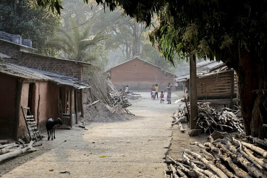 Odisha India 26 March 2026 View of a rural village street bathed in soft sunlight lined with rustic brick homes and piles of gathered firewood where village life unfolds slowly. Odisha India 26 March 2026 View of a rural village street bathed in soft sunlight lined with rustic brick homes and piles of gathered firewood where village life unfolds slowly.