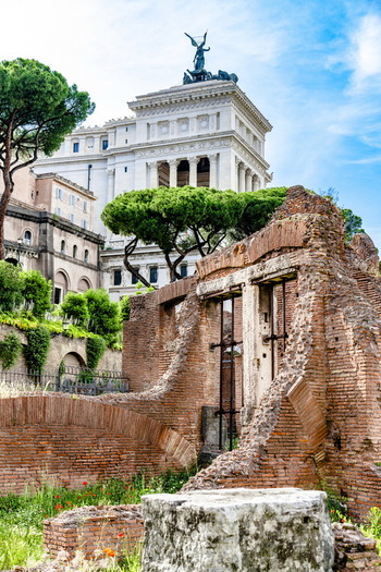 View of the ancient Roman ruins in the foreground with the majestic Altare della Patria monument and green pine trees under a blue sky in Rome Lazio Italy. View of the ancient Roman ruins in the foreground with the majestic Altare della Patria monument and green pine trees under a blue sky in Rome Lazio Italy.
