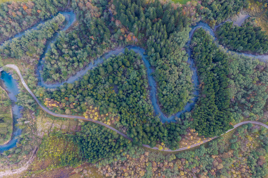 Aerial view of a winding river flowing through a dense forest with autumn colors and a road running alongside in Andalsnes More og Romsdal Norway.