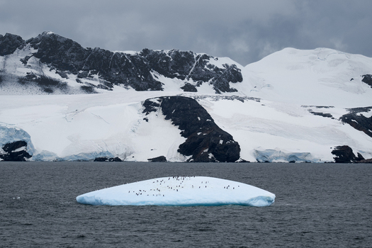View of penguins resting on an iceberg floating in the sea with snow covered mountains in the background in South Orkney Islands. View of penguins resting on an iceberg floating in the sea with snow covered mountains in the background in South Orkney Islands.