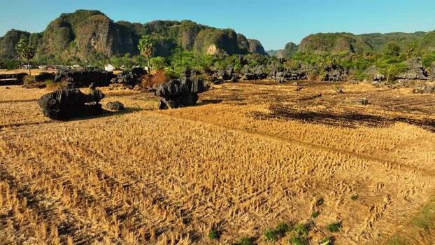 Aerial view of karst rock formations and harvested fields Indonesia. Aerial view of karst rock formations and harvested fields Indonesia.
