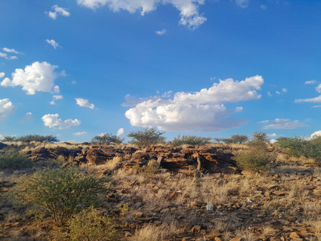 View of the arid rocky landscape with scattered shrubs and dry grass under a bright blue sky with white clouds in Grootdrink Northern Cape South Africa. View of the arid rocky landscape with scattered shrubs and dry grass under a bright blue sky with white clouds in Grootdrink Northern Cape South Africa.