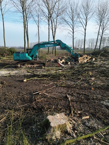 Netherlands 06 July 2026 Aerial view of a Kobelco excavator clearing trees in a forest with logs piled on the muddy ground and tall bare trees in the background. Netherlands 06 July 2026 Aerial view of a Kobelco excavator clearing trees in a forest with logs piled on the muddy ground and tall bare trees in the background.