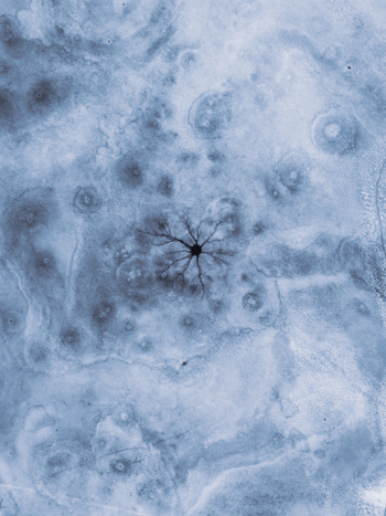 Aerial view of a dark star shaped pattern contrasting against a textured pale blue surface creating a stark and mesmerizing visual Tind Nordland Norway.