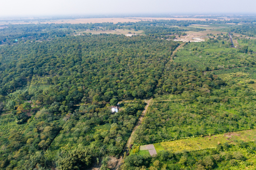 Aerial view of the lush green forests and agricultural fields surrounding a small white building in the rural landscape of Panchagarh Rangpur Division Bangladesh. Aerial view of the lush green forests and agricultural fields surrounding a small white building in the rural landscape of Panchagarh Rangpur Division Bangladesh.