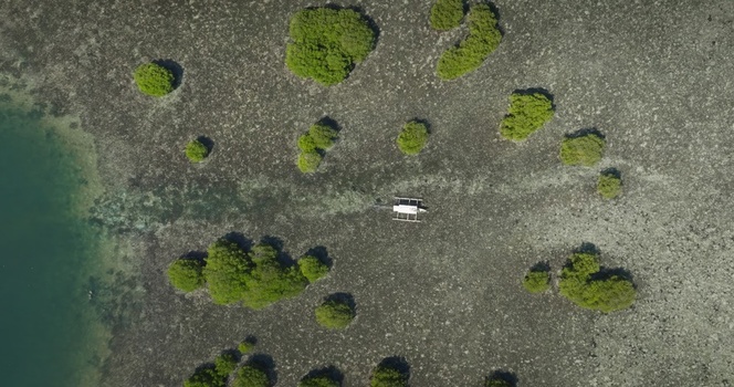 Aerial view of a traditional outrigger boat navigating through shallow turquoise waters dotted with lush green mangrove islands in Lombok West Nusa Tenggara Indonesia.