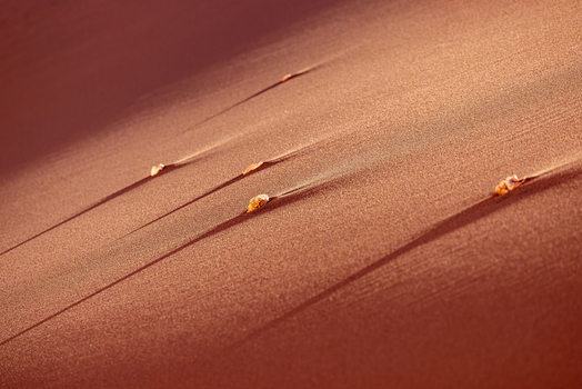 View of the Valley of the Moon featuring red sand dunes with small pebbles leaving trails under warm golden light in San Pedro de Atacama Antofagasta Chile. View of the Valley of the Moon featuring red sand dunes with small pebbles leaving trails under warm golden light in San Pedro de Atacama Antofagasta Chile.