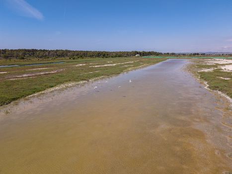 Aerial view of Karavasta Lagoon with birds flying over shallow water and green marshland under a clear blue sky in Divjake Fier County Albania.