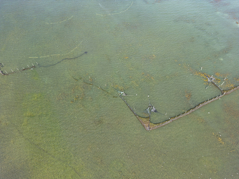 Aerial view of traditional fishing structures in the shallow waters of Shkodra Lake in Shkoder Shkoder County Albania. Aerial view of traditional fishing structures in the shallow waters of Shkodra Lake in Shkoder Shkoder County Albania.