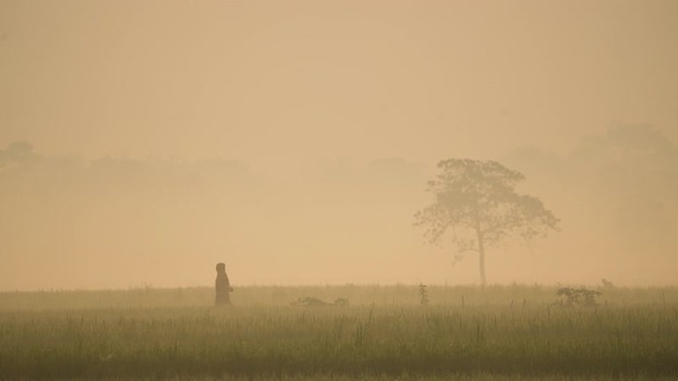 View of a person walking through a misty field in Bogura Bangladesh.