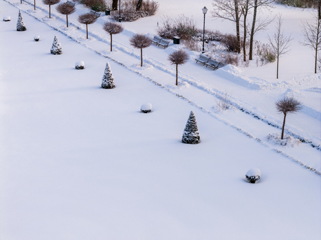Aerial view of conical and round trimmed trees in a snow covered park with benches and a path in Lithuania. Aerial view of conical and round trimmed trees in a snow covered park with benches and a path in Lithuania.