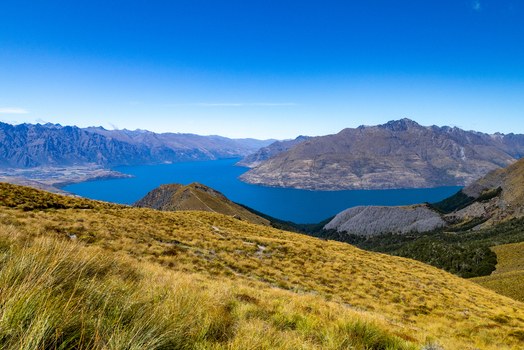 View of golden tussock grass blankets rolling hills under a piercing blue sky overlooking the vast tranquil lake surrounded by majestic mountains Ben Lomond Queenstown New Zealand. View of golden tussock grass blankets rolling hills under a piercing blue sky overlooking the vast tranquil lake surrounded by majestic mountains Ben Lomond Queenstown New Zealand.