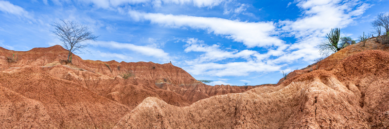 View of the arid red landscape of the Tatacoa Desert with sparse trees and cacti under a bright blue sky in Villavieja Huila Colombia.