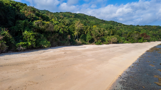 Aerial view of a pristine sandy beach bordered by a dense tropical forest and rocky coastline under a bright sky in Bajawa Nusa Tenggara Timur Indonesia. Aerial view of a pristine sandy beach bordered by a dense tropical forest and rocky coastline under a bright sky in Bajawa Nusa Tenggara Timur Indonesia.