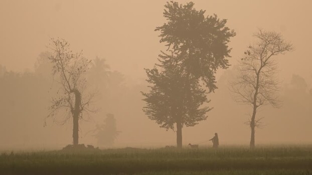 View of a person with a goat in a misty field Bangladesh. View of a person with a goat in a misty field Bangladesh.