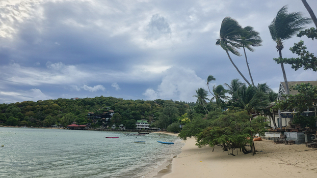 View of Ko Tao beach with palm trees swaying in the wind small boats on the water and a lush green hillside under a cloudy sky in Ko Tao Surat Thani Thailand.