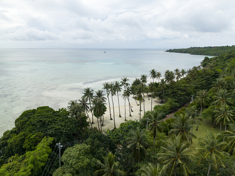 Aerial view of Bobby Beach s shoreline where lush green trees meet the white sands and turquoise sea Karimunjawa Central Java Indonesia.