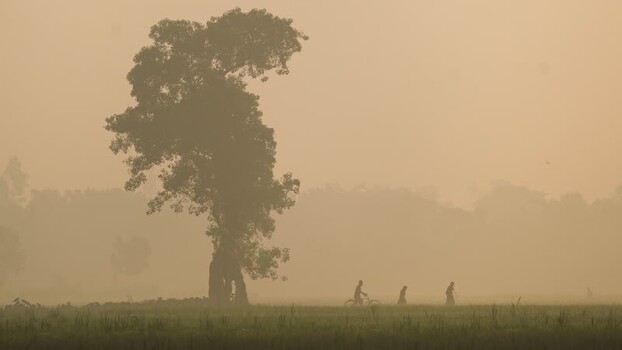 View of people walking in a misty field near a large tree Bangladesh. View of people walking in a misty field near a large tree Bangladesh.