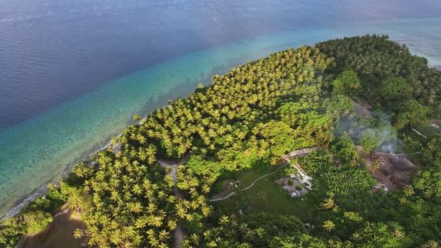 Aerial view of lush palm tree forests and turquoise coastline Maldives. Aerial view of lush palm tree forests and turquoise coastline Maldives.