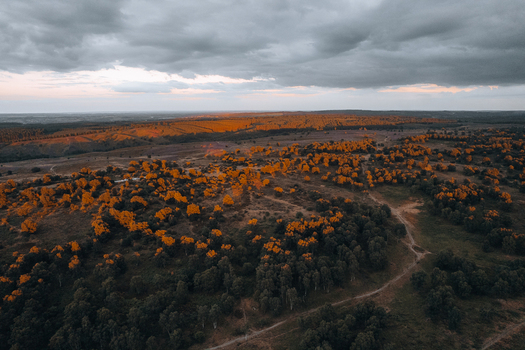 Aerial view of Cannock Chase Forest with golden sunlight illuminating the trees under a dramatic cloudy sky in Staffordshire England United Kingdom. Aerial view of Cannock Chase Forest with golden sunlight illuminating the trees under a dramatic cloudy sky in Staffordshire England United Kingdom.