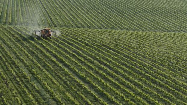Aerial view of tractor spraying vineyard in Targon France.