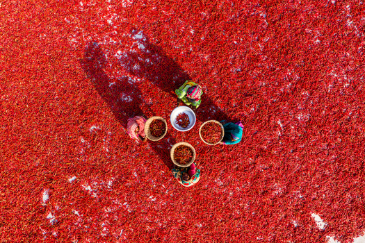 Bogura Rajshahi Division Bangladesh 06 March 2022 Aerial view of workers drying vibrant red chili peppers in a large field with baskets and bowls arranged on the ground.