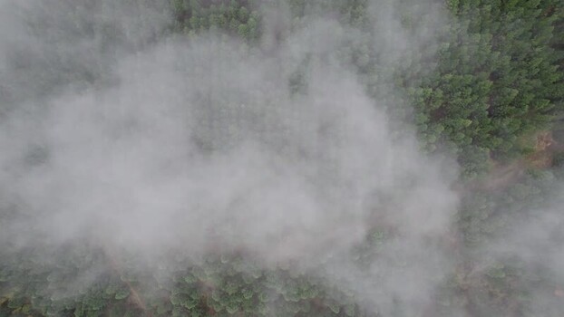 Aerial view of dense forest in fog Chile. Aerial view of dense forest in fog Chile.