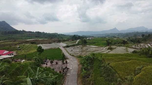 Aerial view of rice terraces and mountains Indonesia.