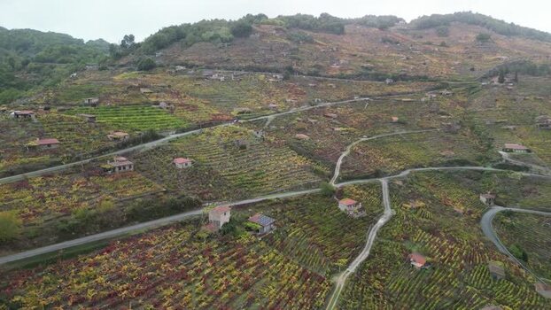 Aerial view of vineyards in Ribeira Sacra Spain. Aerial view of vineyards in Ribeira Sacra Spain.