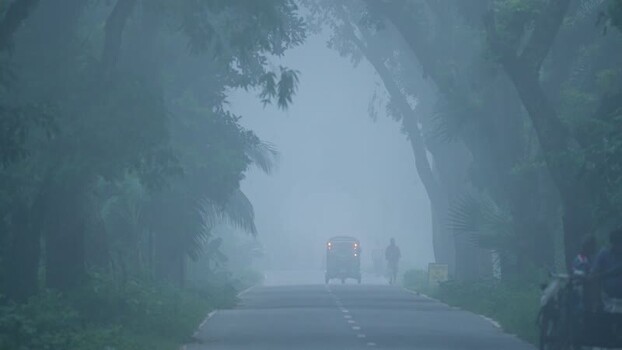 View of a misty road with a rickshaw in the fog Bangladesh. View of a misty road with a rickshaw in the fog Bangladesh.