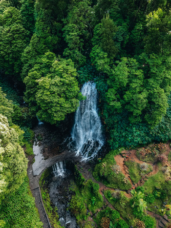 Aerial view of a powerful waterfall cascading through a dense vibrant green forest where a winding path offers a tranquil contrast Achada Açores Portugal. Aerial view of a powerful waterfall cascading through a dense vibrant green forest where a winding path offers a tranquil contrast Achada Açores Portugal.
