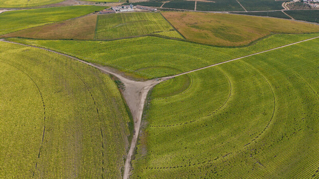 Aerial view of circular agricultural fields with center pivot irrigation systems and dirt paths in the rural landscape Talayuela Extremadura Spain. Aerial view of circular agricultural fields with center pivot irrigation systems and dirt paths in the rural landscape Talayuela Extremadura Spain.