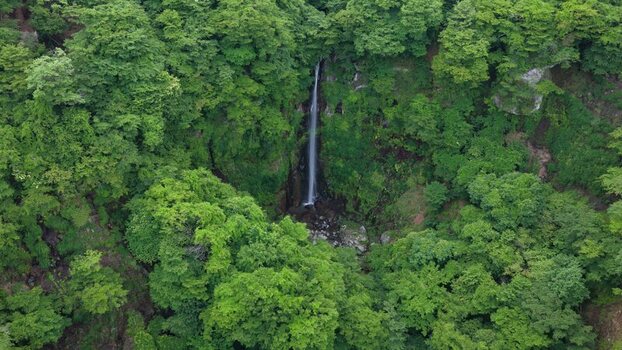 Aerial view of a narrow waterfall cascading down a rocky cliff surrounded by dense lush green forest in Japan. Aerial view of a narrow waterfall cascading down a rocky cliff surrounded by dense lush green forest in Japan.