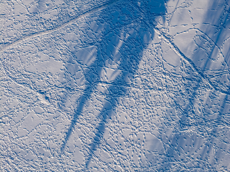 Aerial view of a snow covered field with numerous footprints and long tree shadows under bright sunlight in Lithuania. Aerial view of a snow covered field with numerous footprints and long tree shadows under bright sunlight in Lithuania.