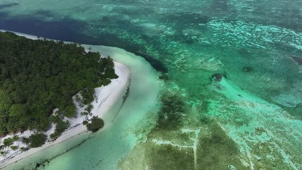 Aerial view of a tropical island beach and coral reefs in Maldives. Aerial view of a tropical island beach and coral reefs in Maldives.