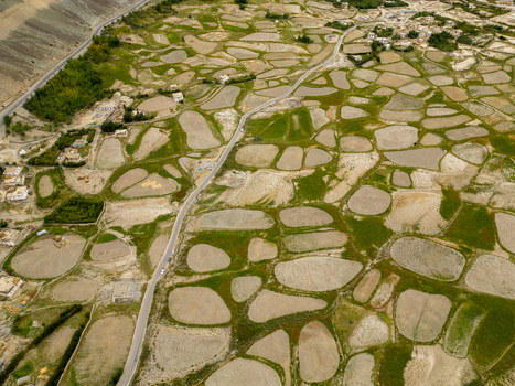 Aerial view of the agricultural landscape featuring irregular patch like fields with green and brown textures winding roads and small village settlements in Zanskar Ladakh India.
