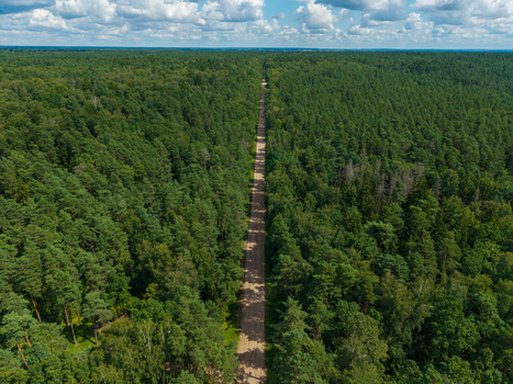 Aerial view of a straight dirt road cutting through a dense pine forest under a blue sky with clouds in Anyksciai District Municipality Utena County Lithuania.